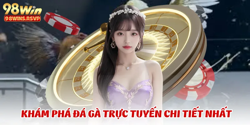 Khám phá đá gà trực tuyến chi tiết nhất